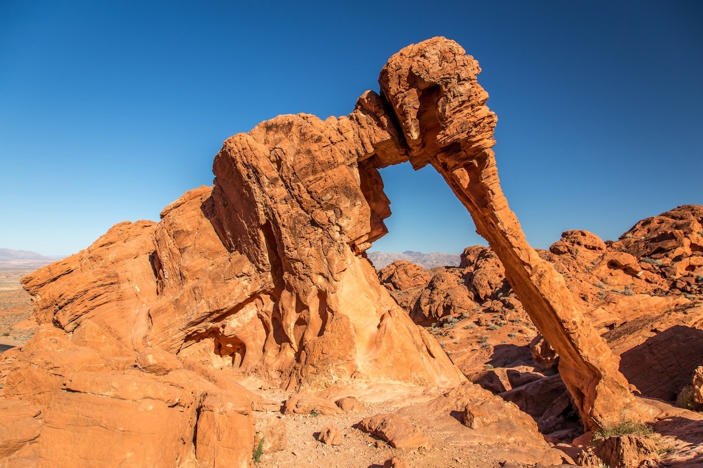 elephant rock vallee du feu nevada